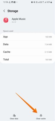 How to Clear Apple Music Cache: A Detailed Guide with Insightful Views