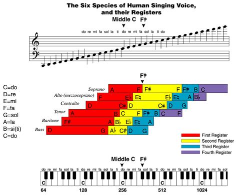 register music definition: exploring the depth and breadth of musical registers