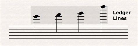 what is a ledger line in music? Have you ever pondered the role of ledger lines in creating a balanced visual harmony on a staff?